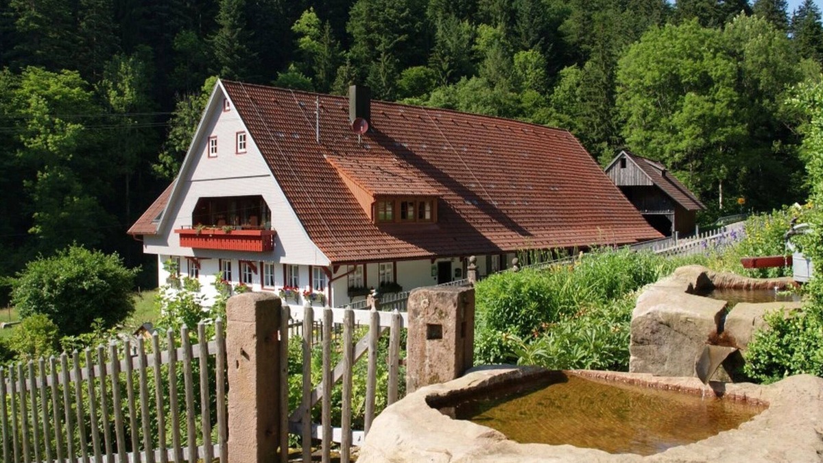 Schenkenzell Apartment | Apartment 'Appartement Im Hof, 36qm' with Mountain View, Shared Terrace and Wi-Fi