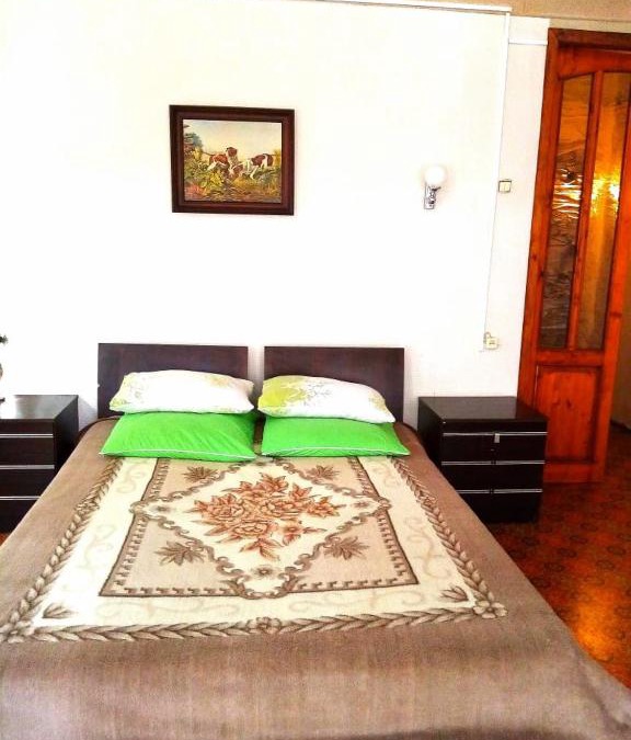 Samara Apartment | Apartment at Chapaevskaya Street