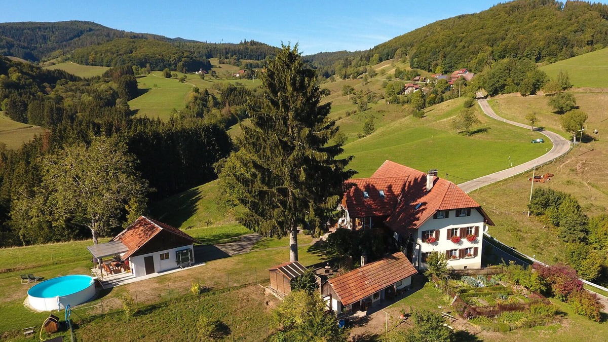 Tegernau Apartment | Apartment 'auf Dem Burstel' with Mountain View, Private Pool and Wi-Fi