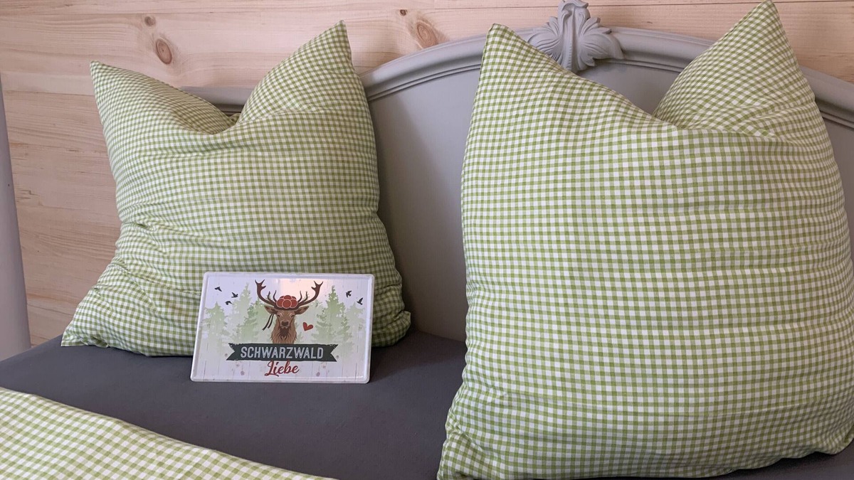 Schuttertal Apartment | Apartment 'Bee Home' with Mountain View, Private Terrace and Wi-Fi