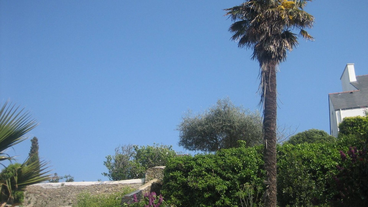Le Palais Apartment | Apartment Belle Île