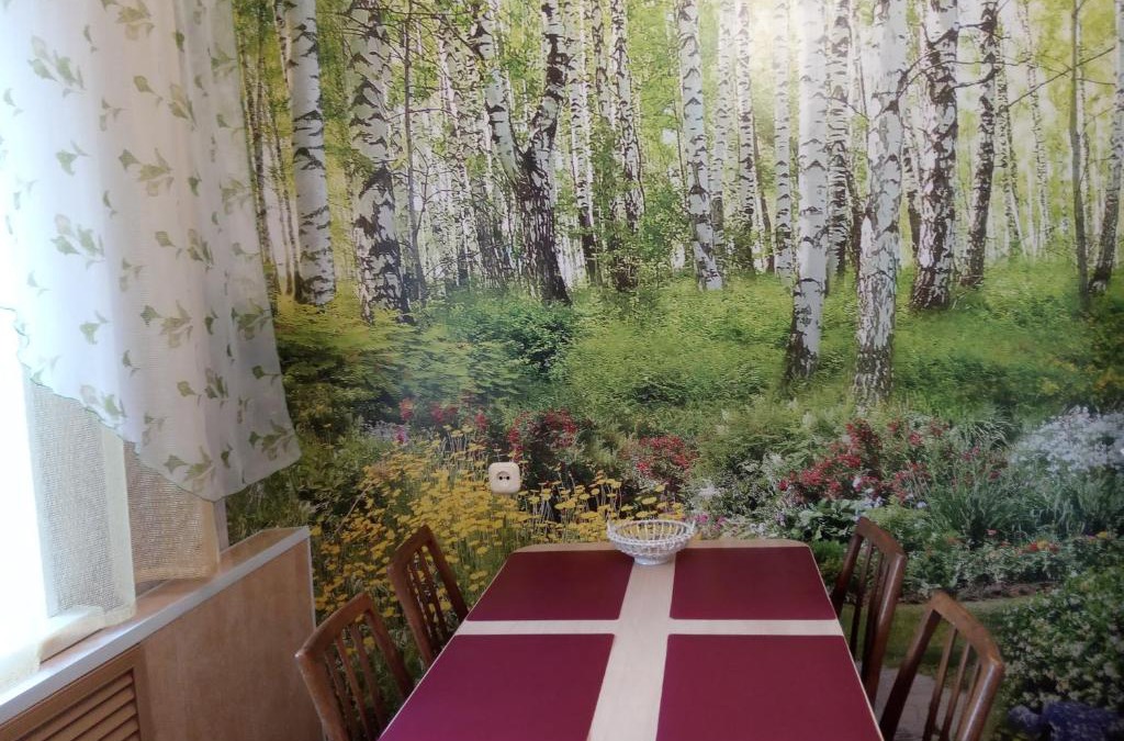 Kostroma Apartment | Apartment Berezovaya roscha