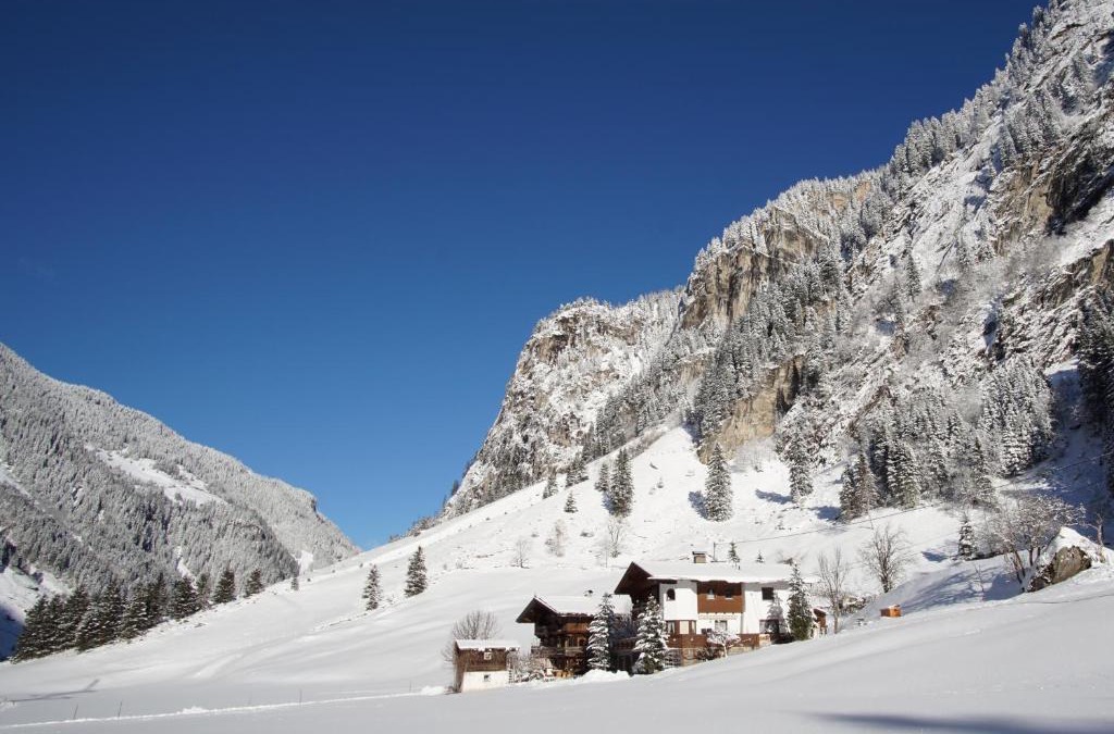Mayrhofen Apartment | Apartment Bergblick