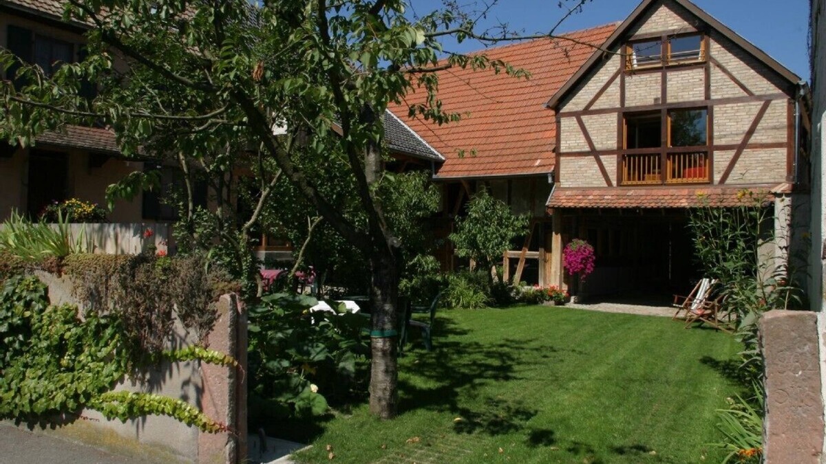 Baldenheim Other | Apartment between Rhein and Vosges Mountains