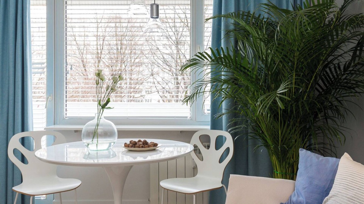 Bielany Apartment | Apartment Bielany 3 min from metro with free catering, air conditioning, parking
