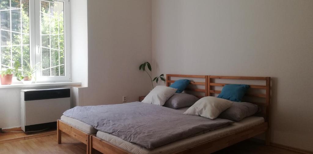 Brno Apartment | Apartment Black Field