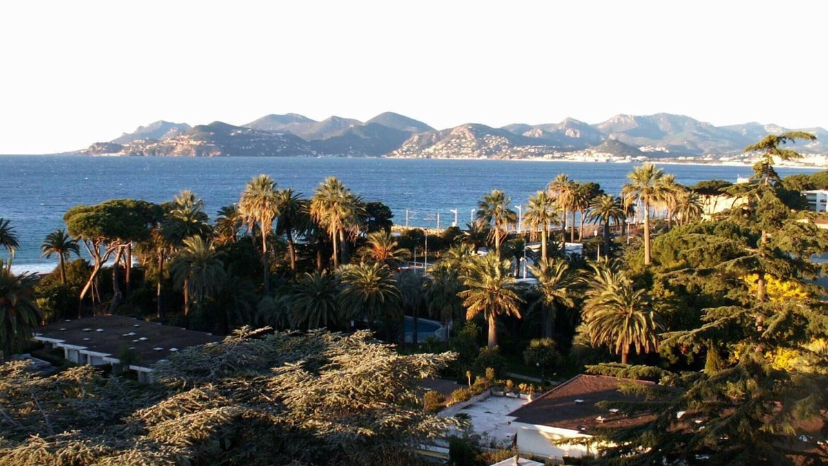 Cannes Apartment | Apartment - Cannes - Seaside and panoramic view