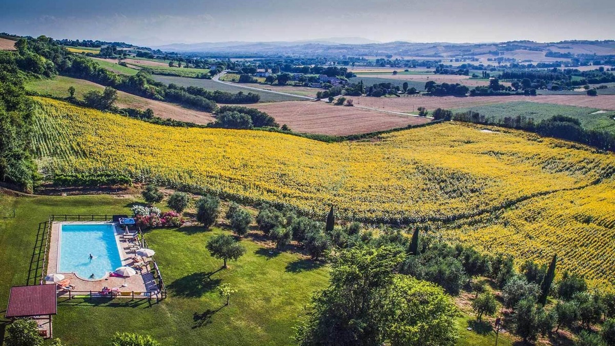 Corinaldo Other | Apartment Casalantico - I GIRASOLI