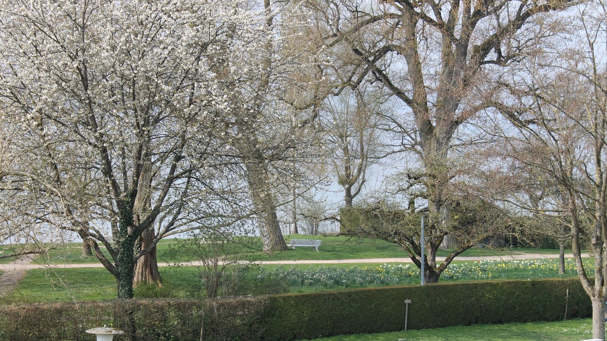 Ueberlingen Apartment | Apartment close to the lake, with beautiful balcony and lake view