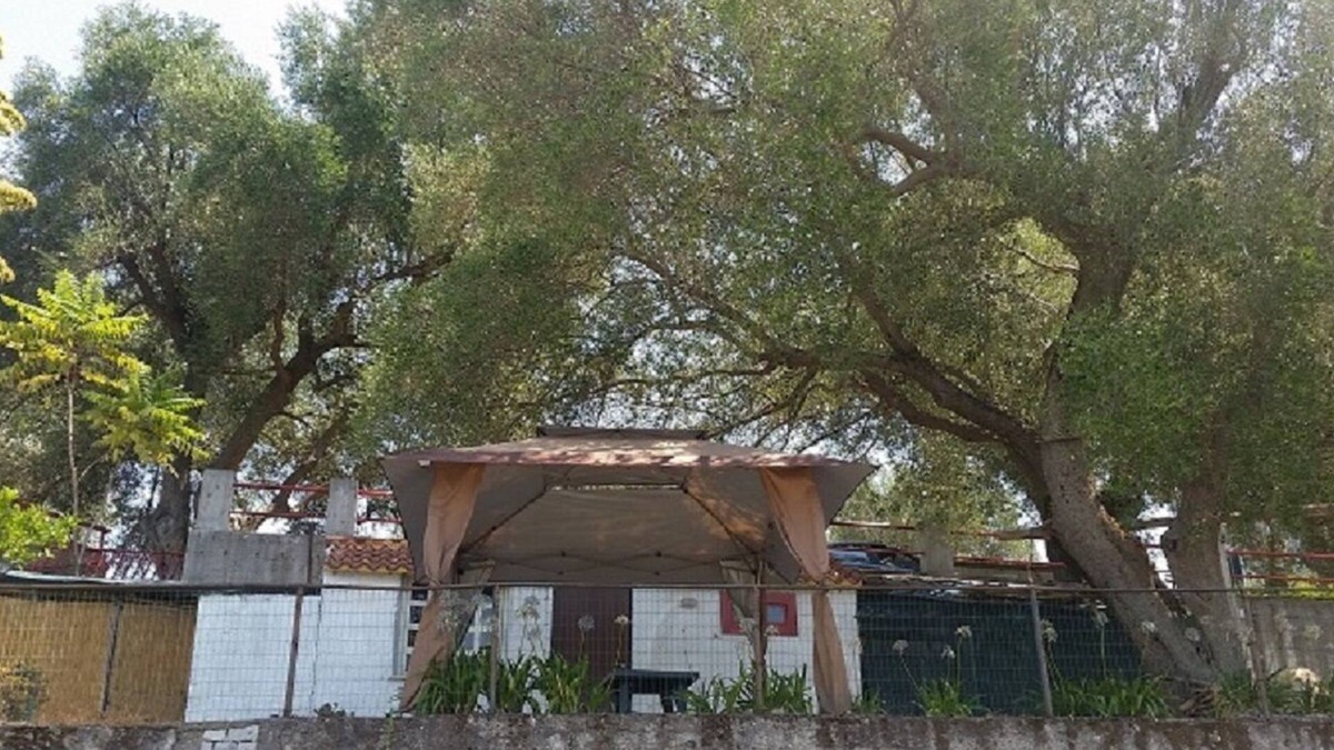 Palinuro House | APARTMENT/COTTAGE IN THE CENTER