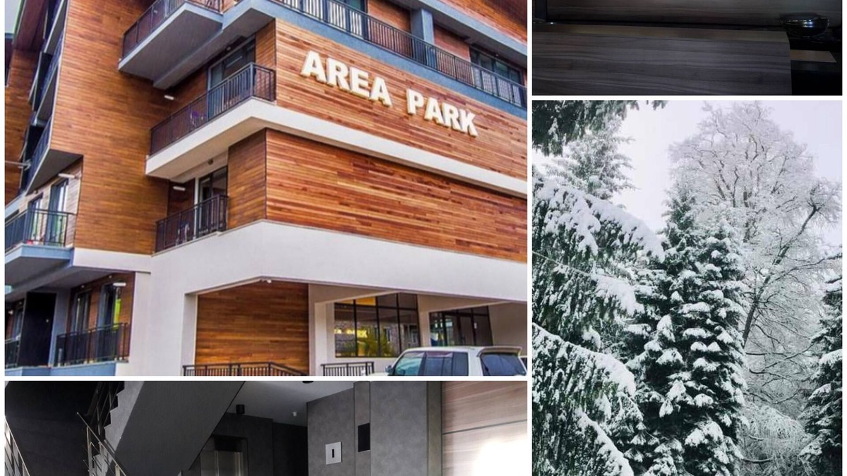 Bakurianis Andeziti Apartment | Apartment EleGia Area Park Bakuriani