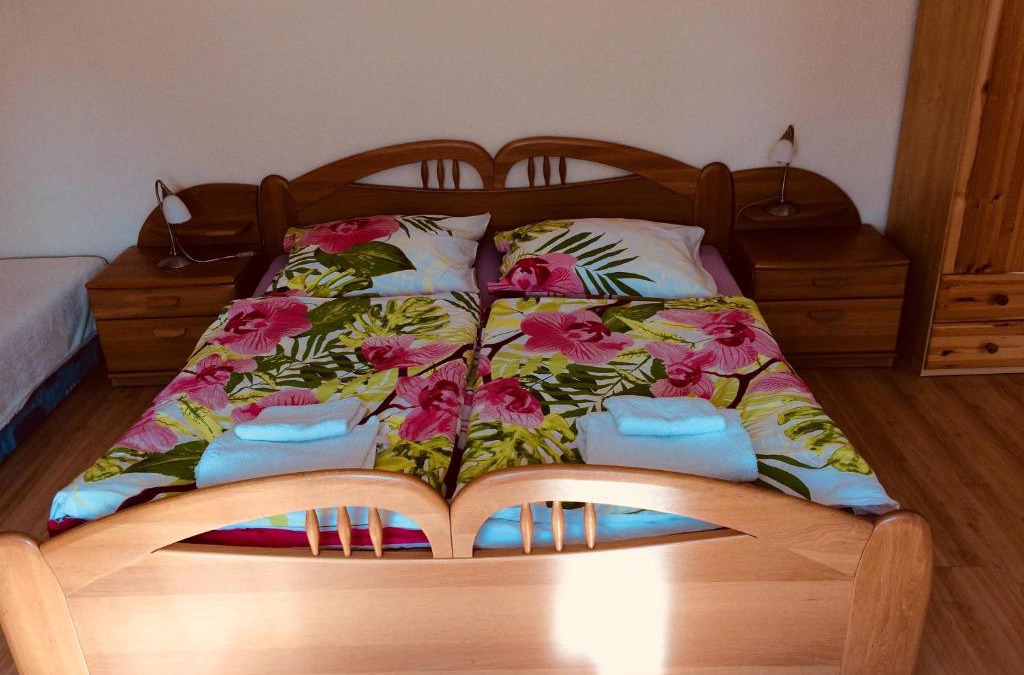 Frantiskovy Lazne Hotel | Apartment Elli