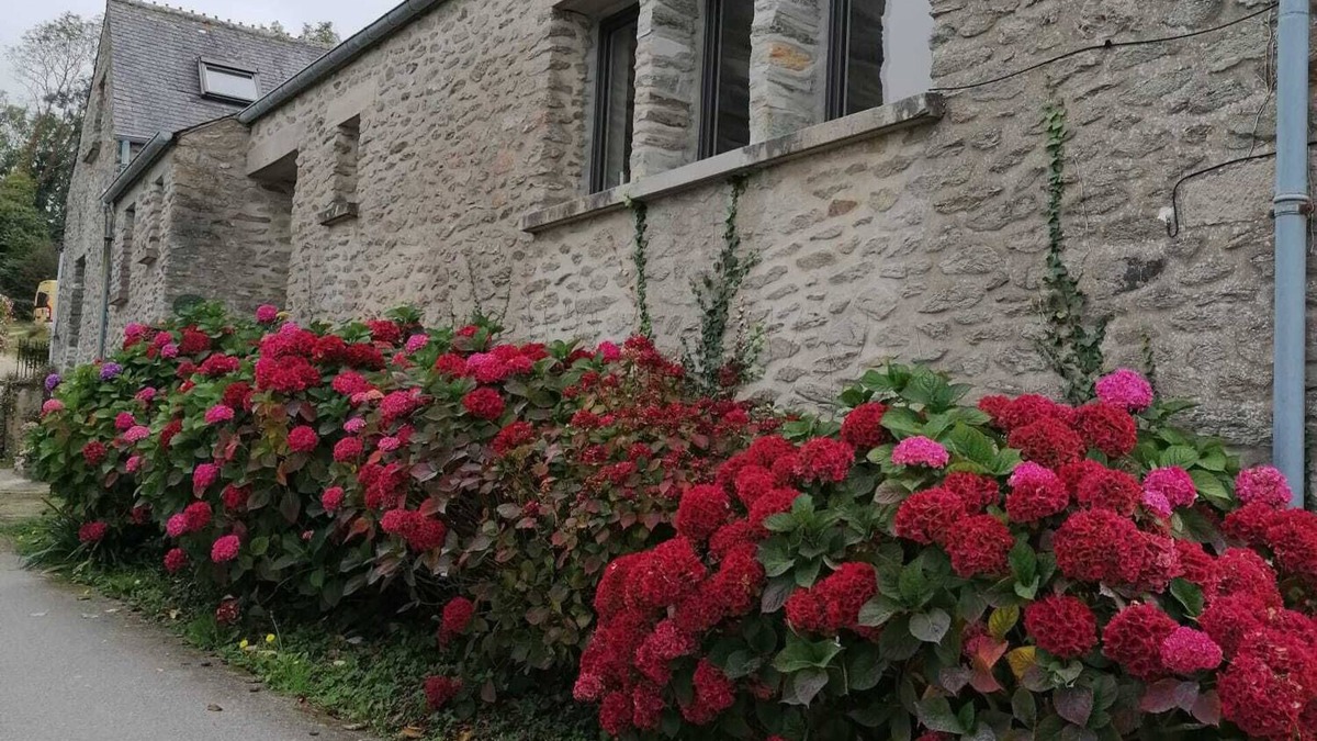 Bretteville Cottage | Apartment facing the sea, ideally located, fully furnished and equipped.