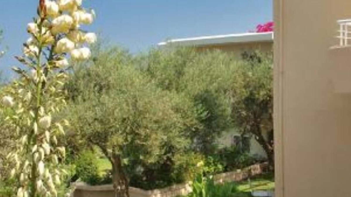 Katochori Apartment | Apartment/flat in a olive grove - Kalives