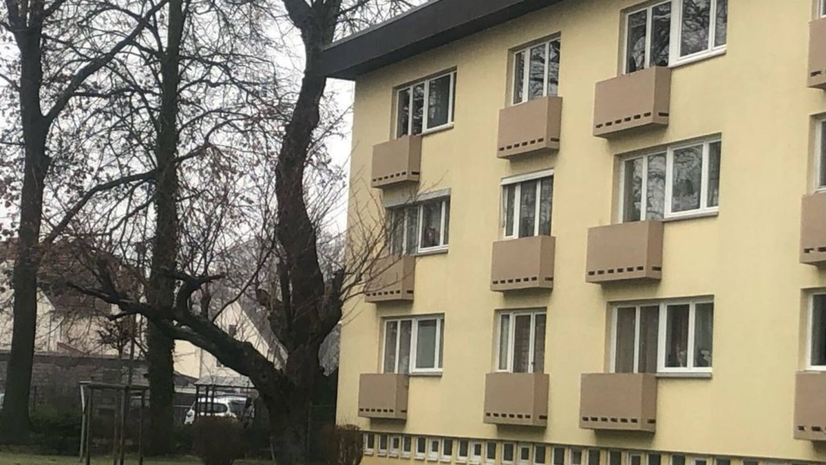 Marli/Brandenbaum Apartment | Apartment Folke-Bernadotte - apartment/apartment, bath, WC, 1 bedroom