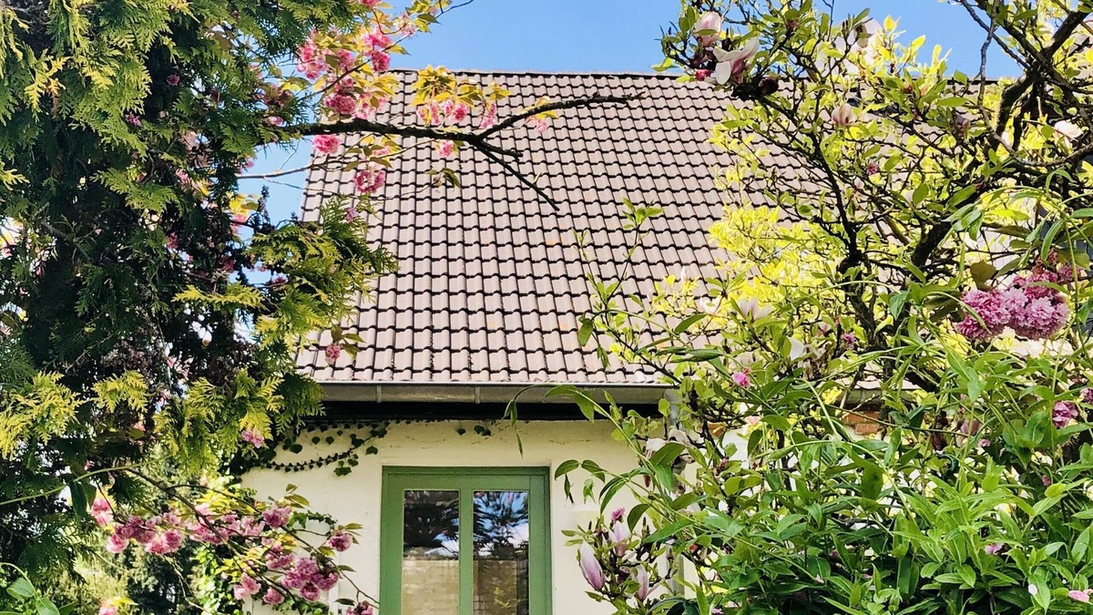 Brusewitz Apartment | Apartment 'Fräulein Tulpenboom' modern, ecological, quiet and close to the city with wallbox