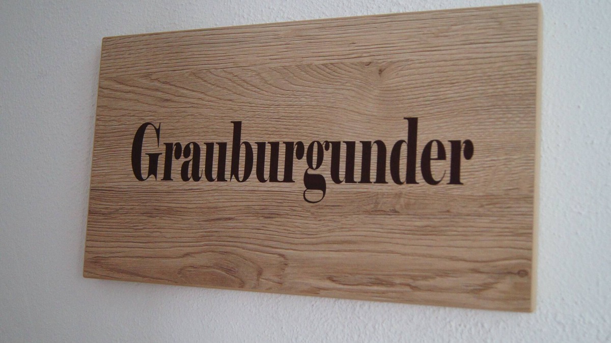Obersulm Apartment | Apartment Grauburgunder - Winzerhof am Schlierbach