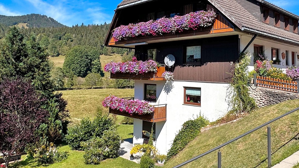 St. Blasien Apartment | Apartment 'Haus Bachwies' with Mountain View, Private Terrace and Wi-Fi