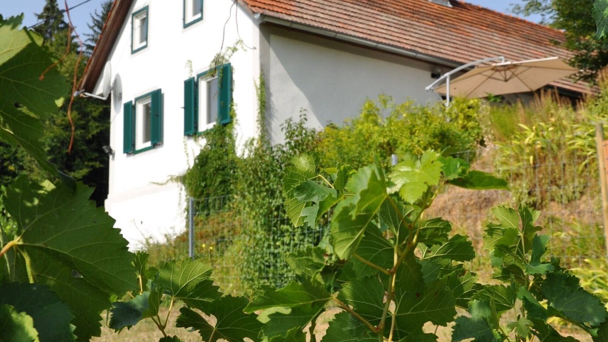 Leutschach Apartment | Apartment 'Hohenegg' romantic and cozy