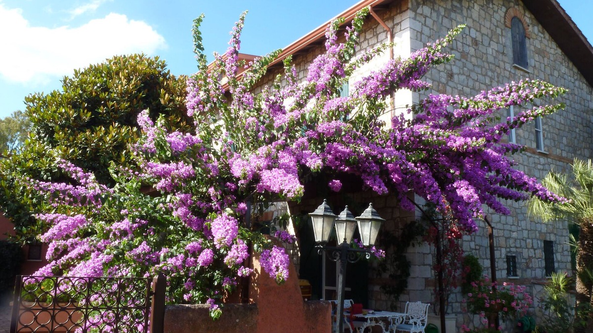 Latina Lido House | Apartment in a farmhouse between Terracina and Sperlonga
