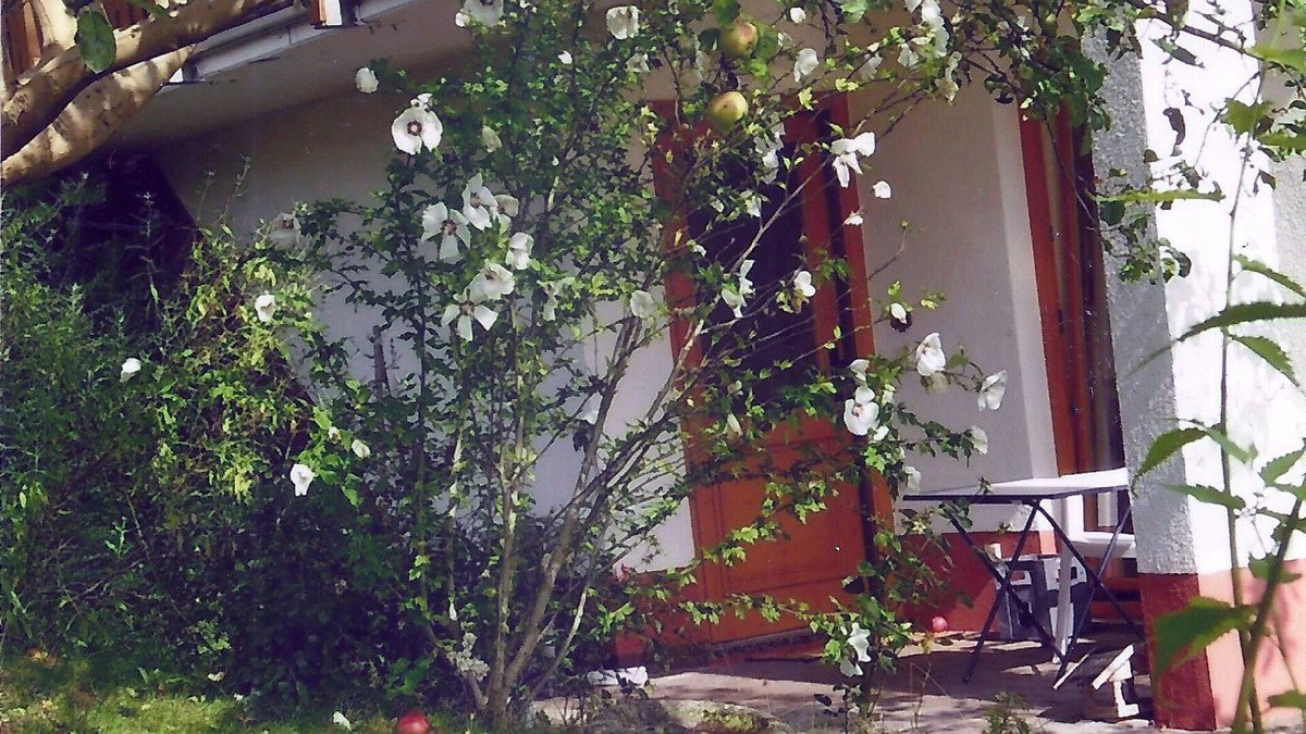 Chemnitz Apartment | Apartment in a green idyll on the edge of Chemnitz