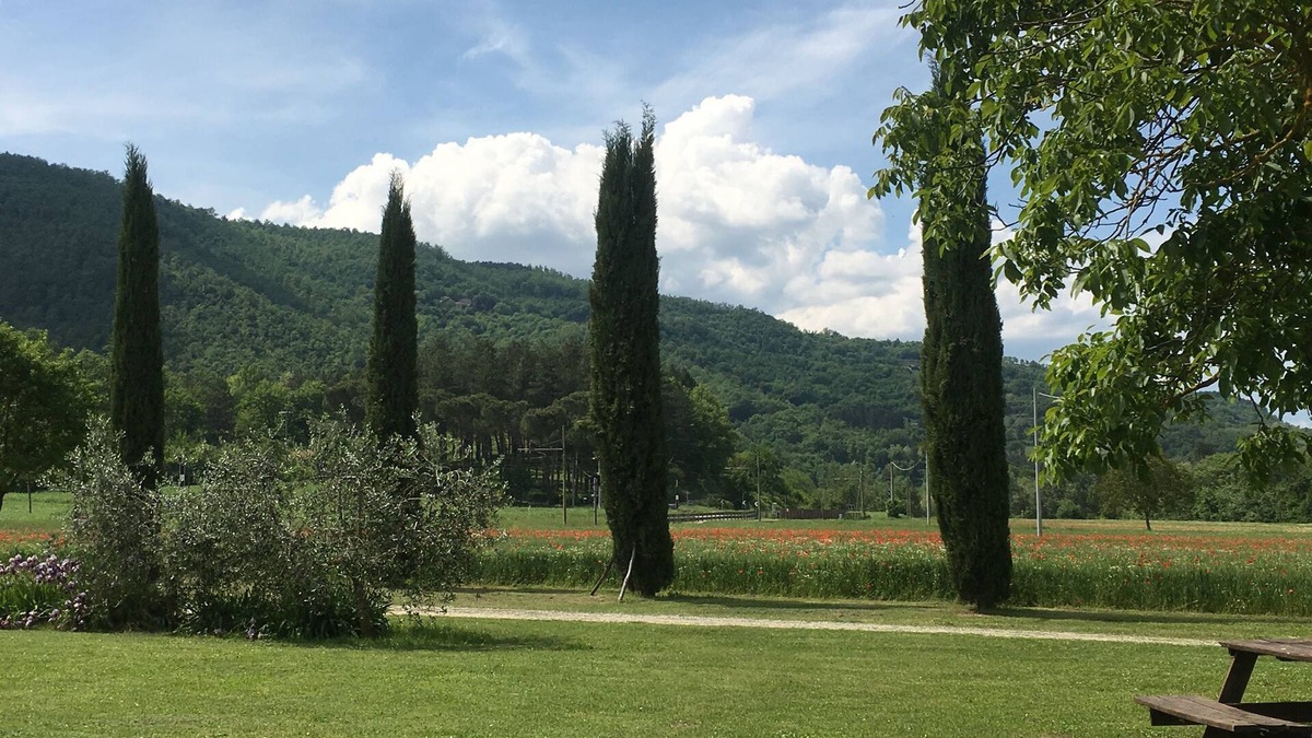 Capolona Apartment | Apartment in an ancient village in the heart of Tuscany