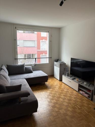 Matthaus Apartment | Apartment in Basel