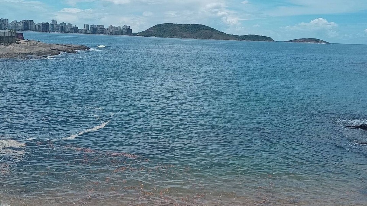 Centro Apartment | Apartment in the center of Guarapari with exclusive beach