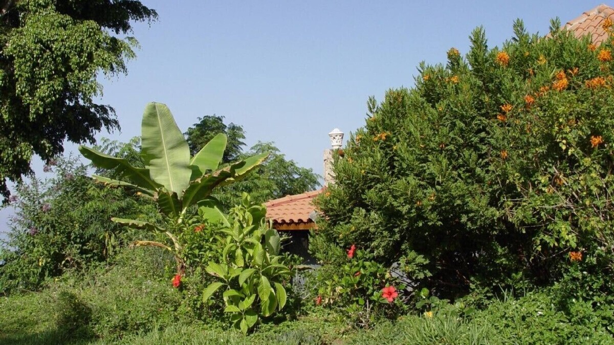 Guia de Isora House | Apartment in country house with tropical garden and pool 2 bedrooms