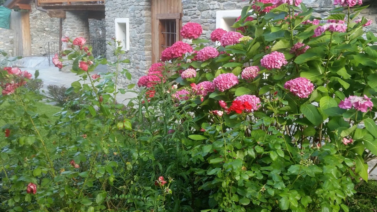 Saint Maurice Apartment | Apartment in Historical Village 700 slm a Mansion