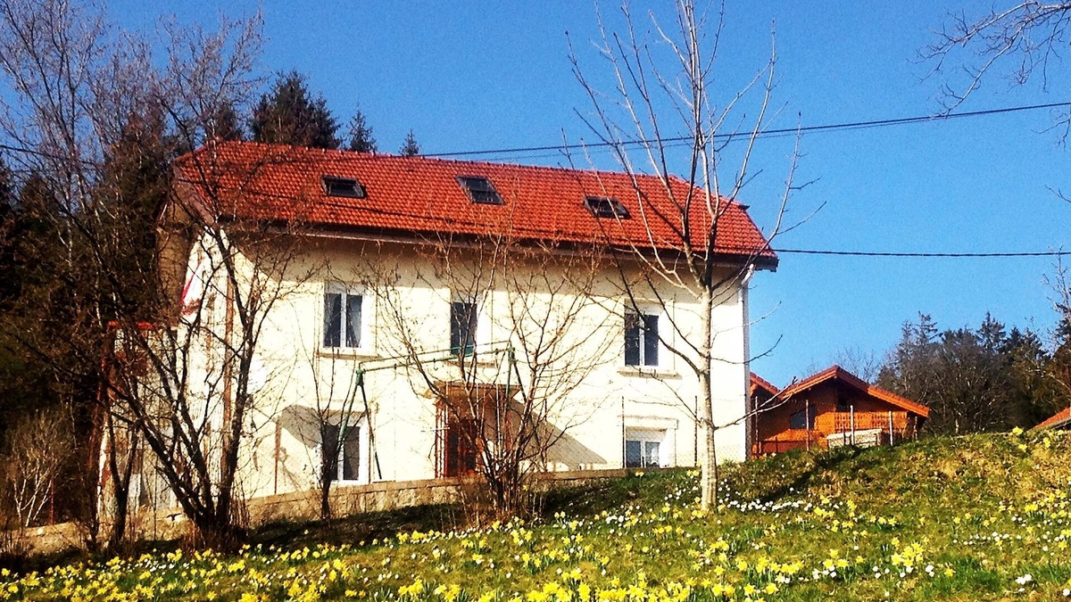 Xonrupt-Longemer Apartment | Apartment in independent house, quiet, Gérardmer