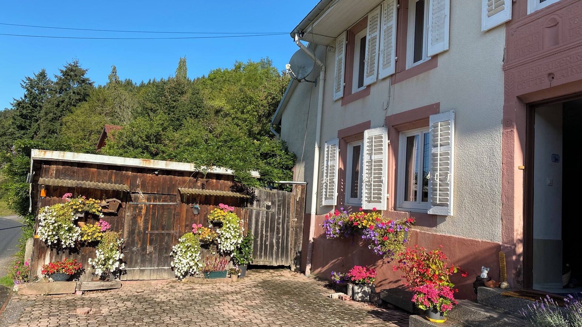Wisembach Apartment | Apartment in quiet village house.