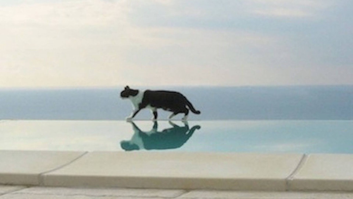 Ospedaletti Apartment | Apartment in semi-detached house, quiet location, sea view