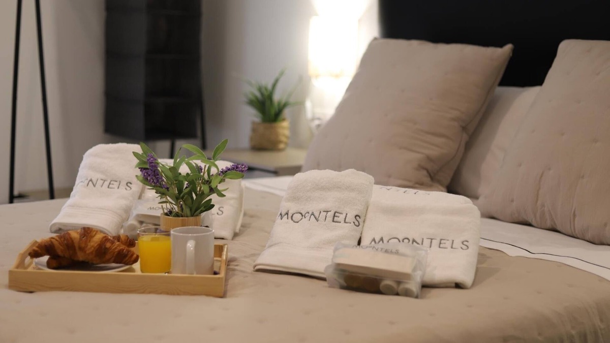 Sant Francesc Apartment | APARTMENT IN THE CENTER OF VALENCIA