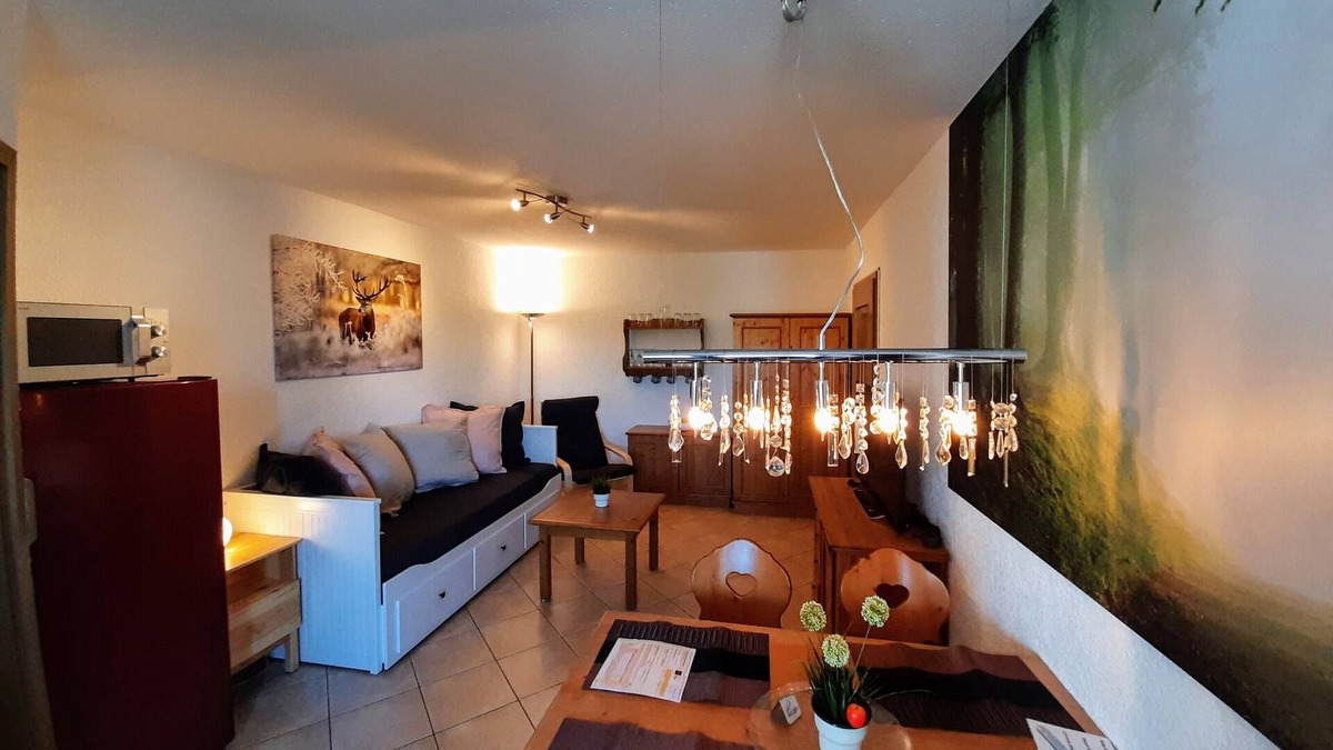 Todtnauberg Apartment | Apartment in the southern Black Forest with indoor pool + sauna, skiing and hiking paradise