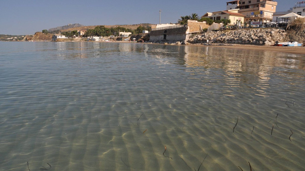San Giorgio Apartment | Apartment in villa Bianca with 1 bedroom very close to the sea.