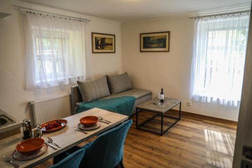 Karlovy Vary Apartment | Apartment Irma