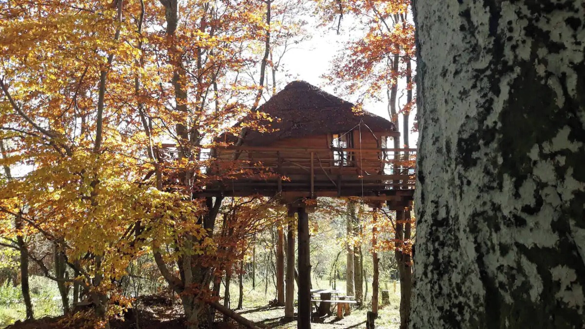 Saint-Agreve Apartment | Apartment 'La Cabane Des Fayards' with Mountain View, Private Terrace and Shared Garden