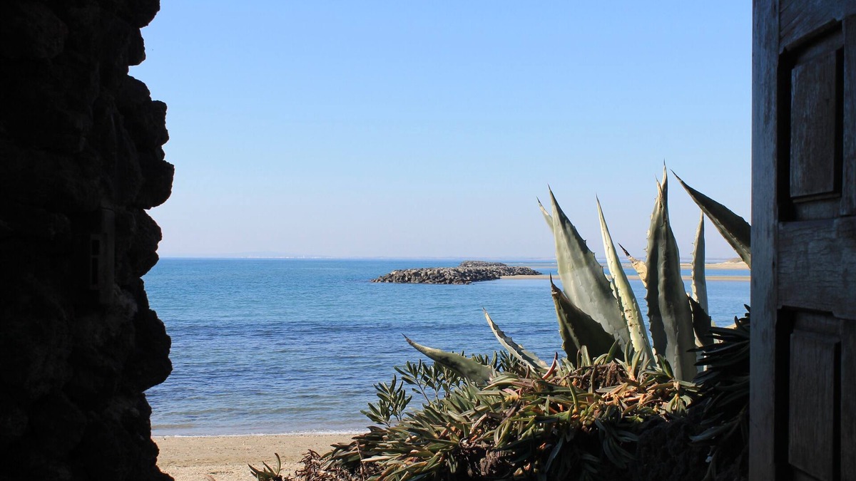 Cap d'Agde Apartment | Apartment " LES PIEDS DANS L'EAU!"