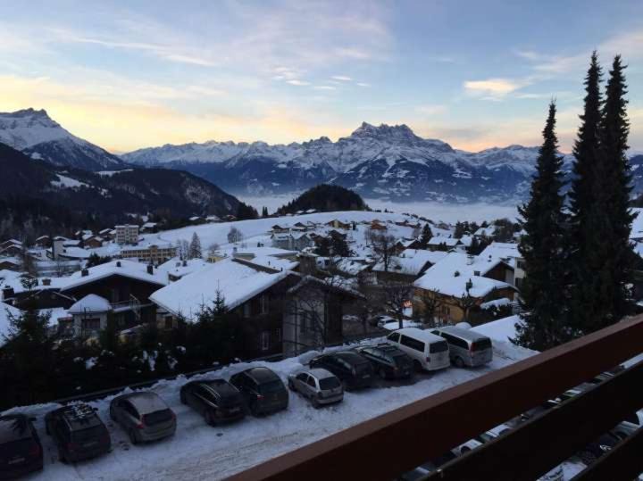 Leysin Apartment | Apartment Leysin - Swiss Alps - Fully Renovated !