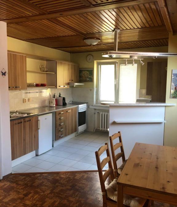 Luhacovice Apartment | Apartment Lužné