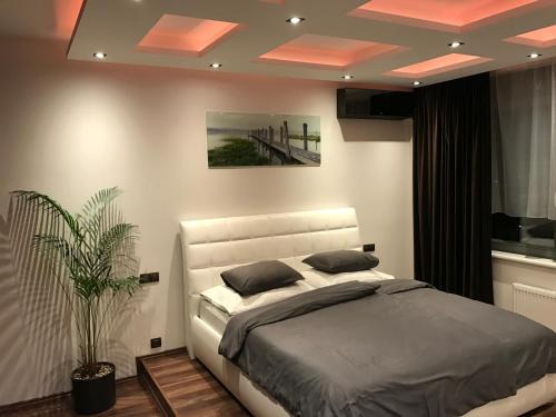 Zizkov Apartment | Apartment Lupáčova