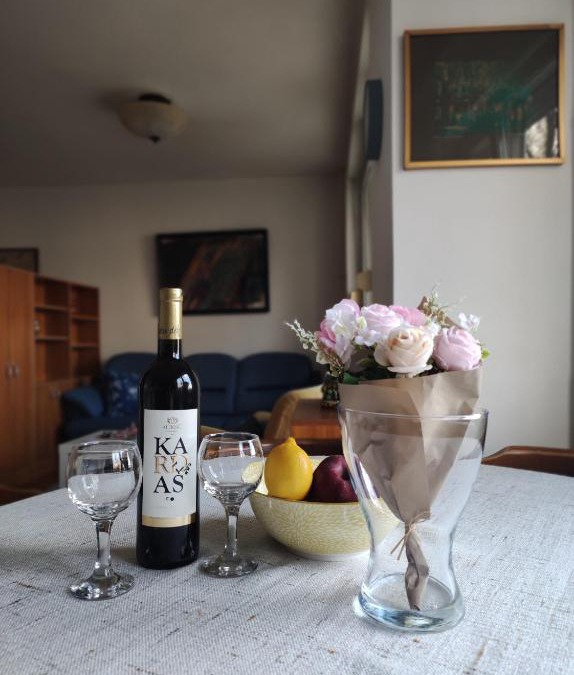 Dorcol Apartment | Apartment Melano