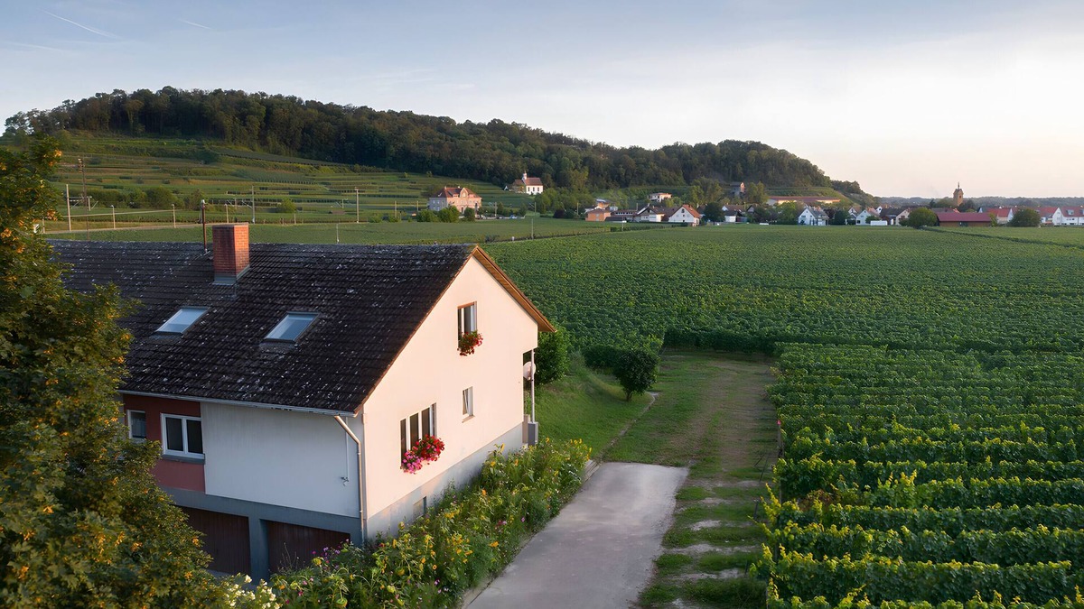 Oberrotweil Apartment | Apartment 'Mit 65qm' with Private Terrace, Private Garden and Wi-Fi
