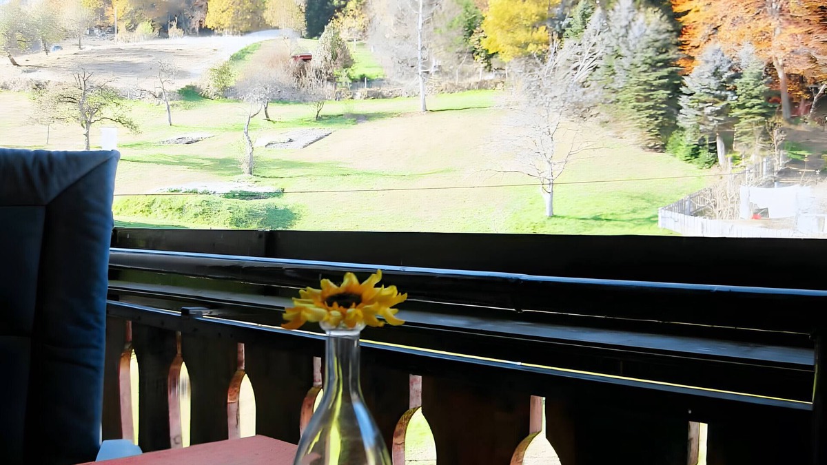 Bad Wildbad Apartment | Apartment 'Mühlgrund' with Shared Garden, Balcony and Wi-Fi