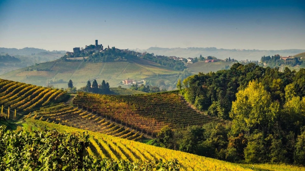 Rocca Grimalda Apartment | Apartment 'Nel Cuore Del Monferrato' with Shared Terrace and Private Garden