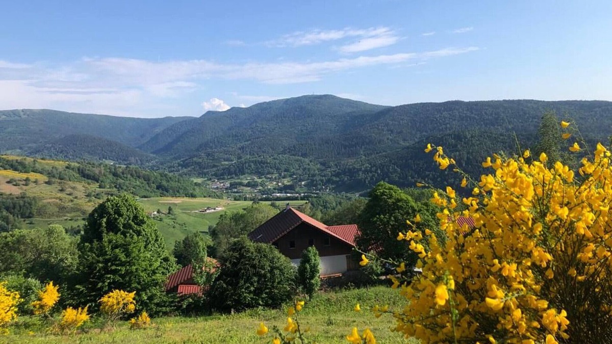 Fresse-sur-Moselle Apartment | Apartment on Vosges farm with terrace, fireplace and wifi