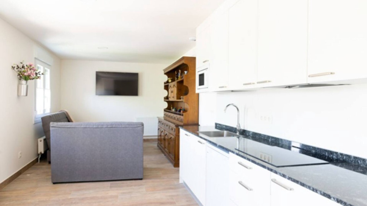 Iturmendi Apartment | Apartment PAGOZABAL