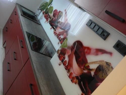 Sulkowice Apartment | Apartment Poland