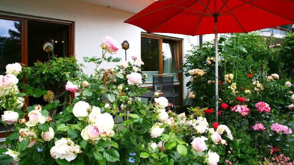 Staufen im Breisgau Apartment | APARTMENT ROSENGARTEN